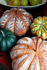 Pumpkin